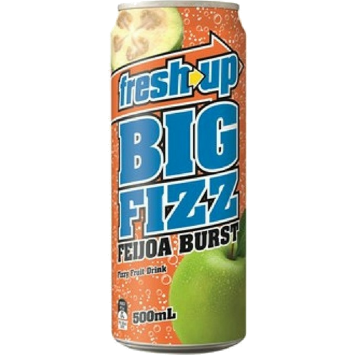 NZ Fresh Up Big Fizz Feijoa Burst 500ml x 12 Cans
