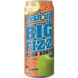 NZ Fresh Up Big Fizz Feijoa Burst 500ml x 12 Cans